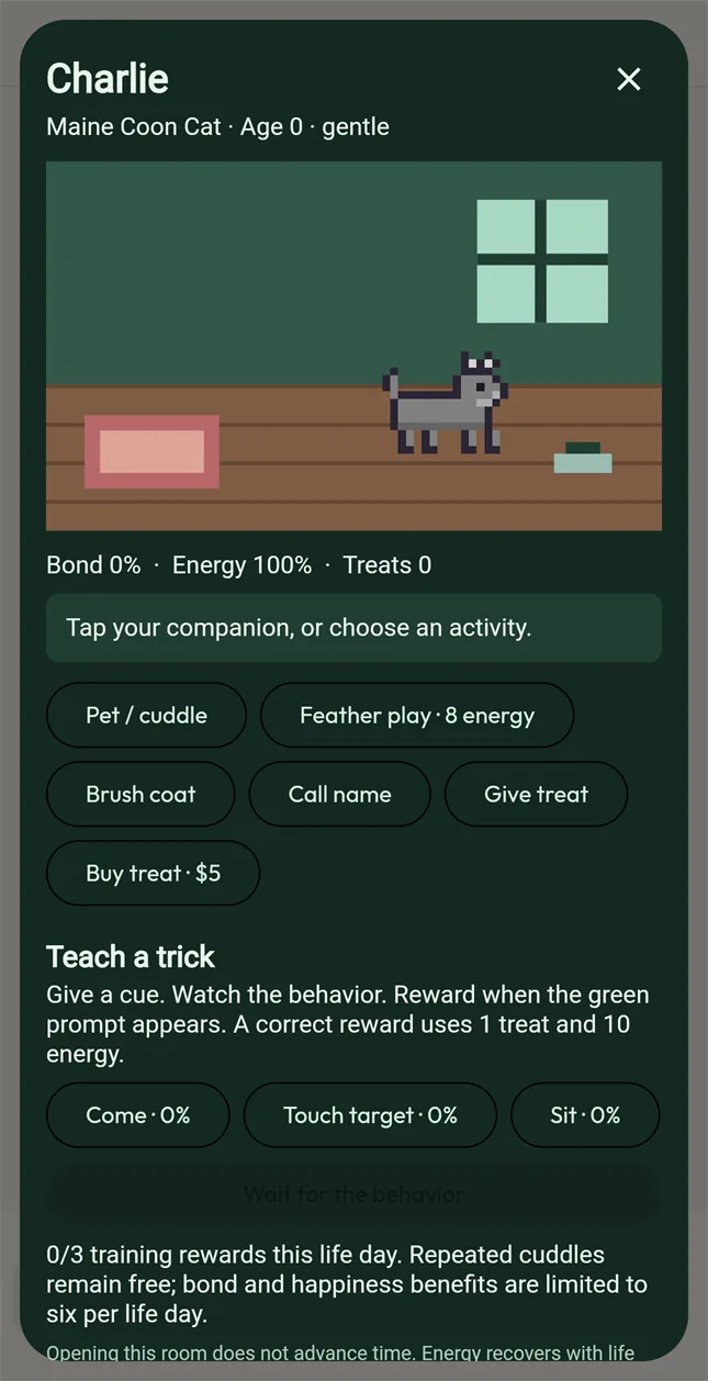A pet cat named Charlie in its room, with care and training activities.
